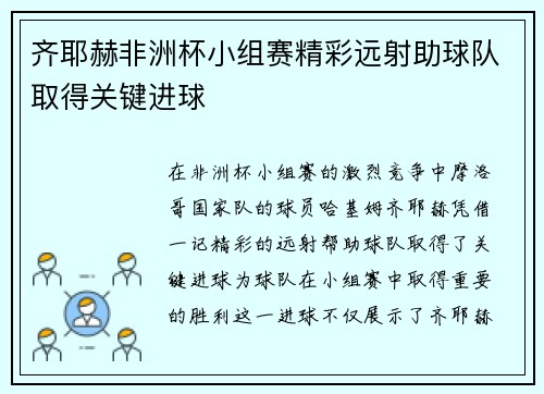 齐耶赫非洲杯小组赛精彩远射助球队取得关键进球